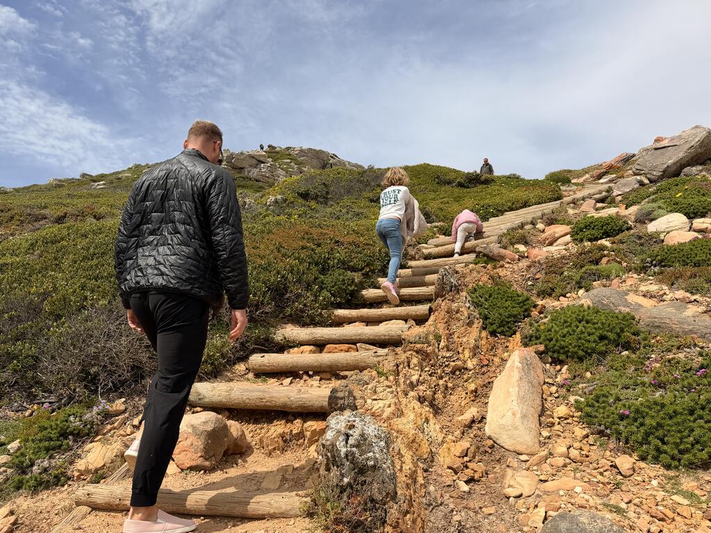 Cape of Good Hope Day Trip – Family Fun in South Africa 11 Hiking up wooden steps in nature.