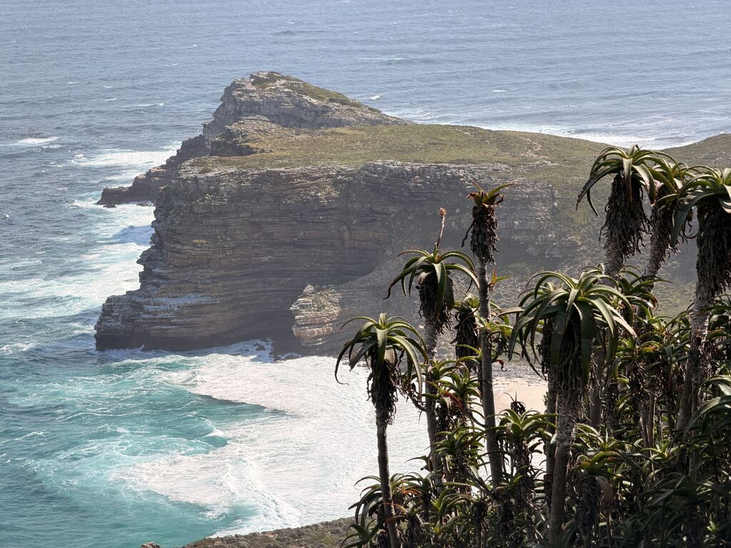 Cape of Good Hope Day Trip – Family Fun in South Africa 21 Coastal cliffs with lush vegetation.