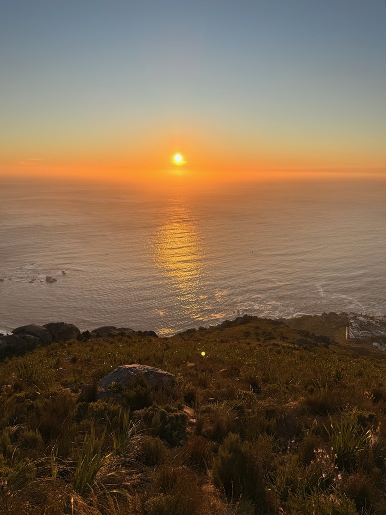 Sunset over ocean from hillside.