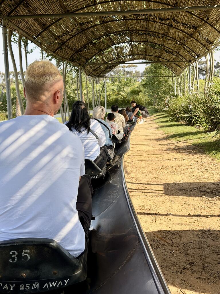 Toboggan Cape Town Fun: Our Day at Cool Runnings 8 People riding a scenic toboggan track.