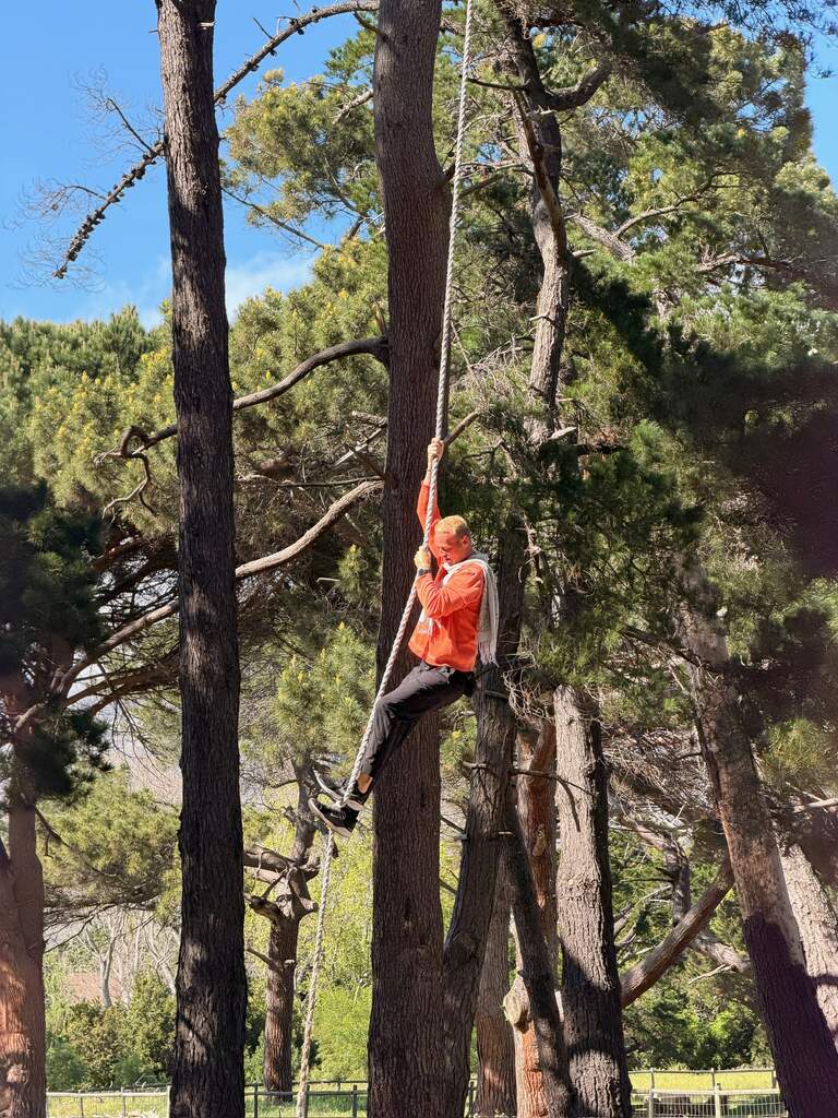 A man climbing up a rope in a forest.