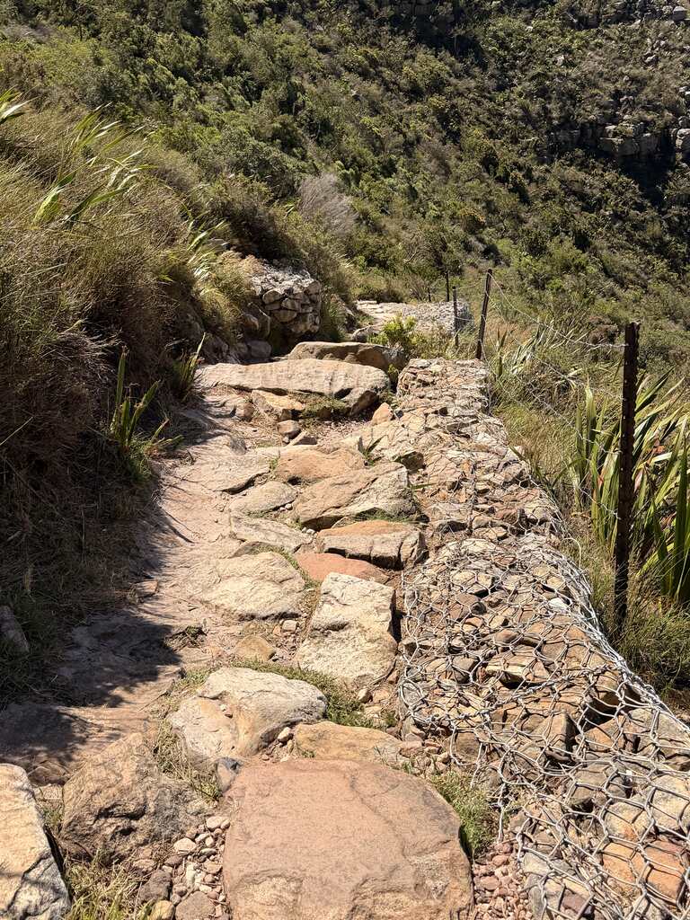 Rocky hiking path on Table Mountain surrounded by green bushes and steep slopes under bright sunlight.